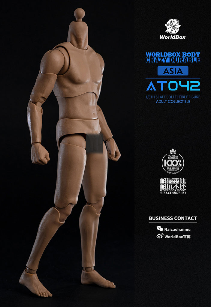 WorldBox AT044 1/6 Durable Body 1/6スケール 男性ボディ素体